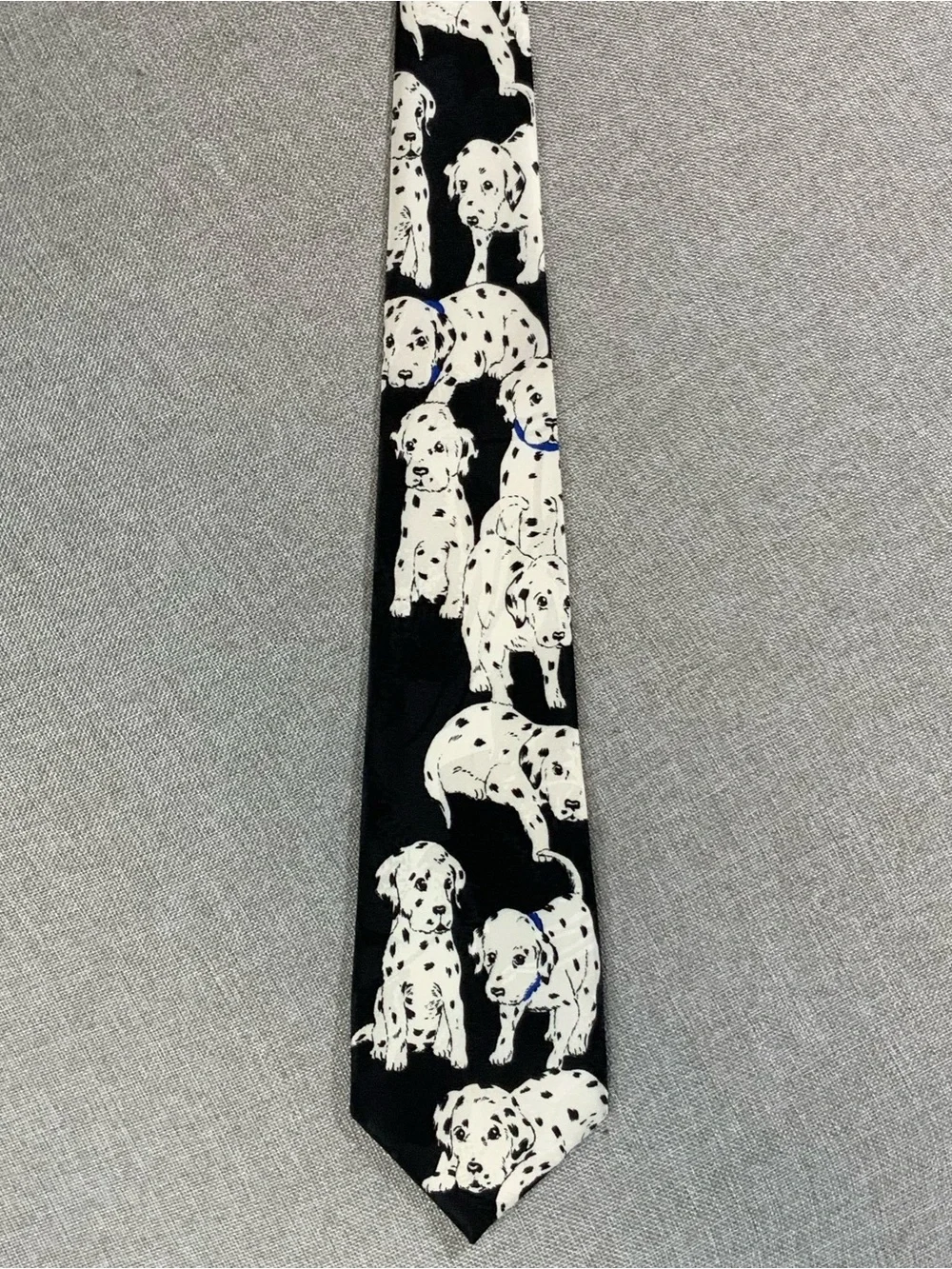 Surrey dalmatian playful
